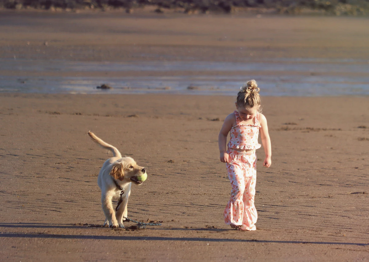 A little girl walking with her dog on a sandy beach