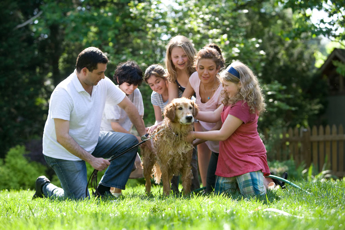 A family gathered around their golden retriever in a sunny backyard