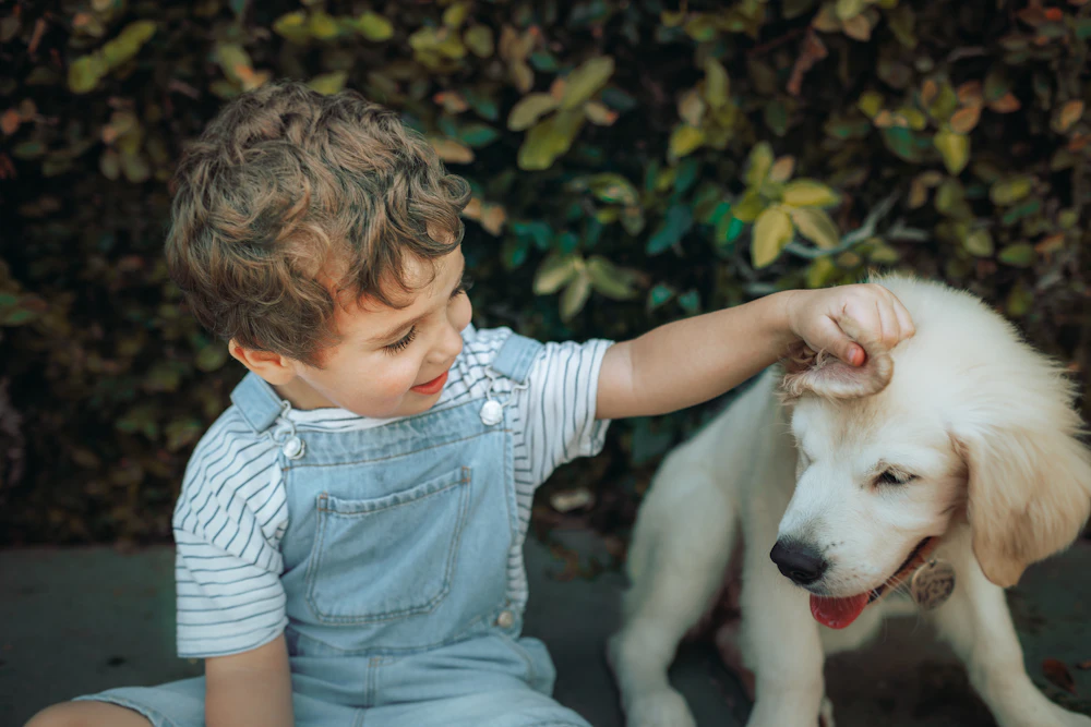A boy gently petting a golden retriever puppy