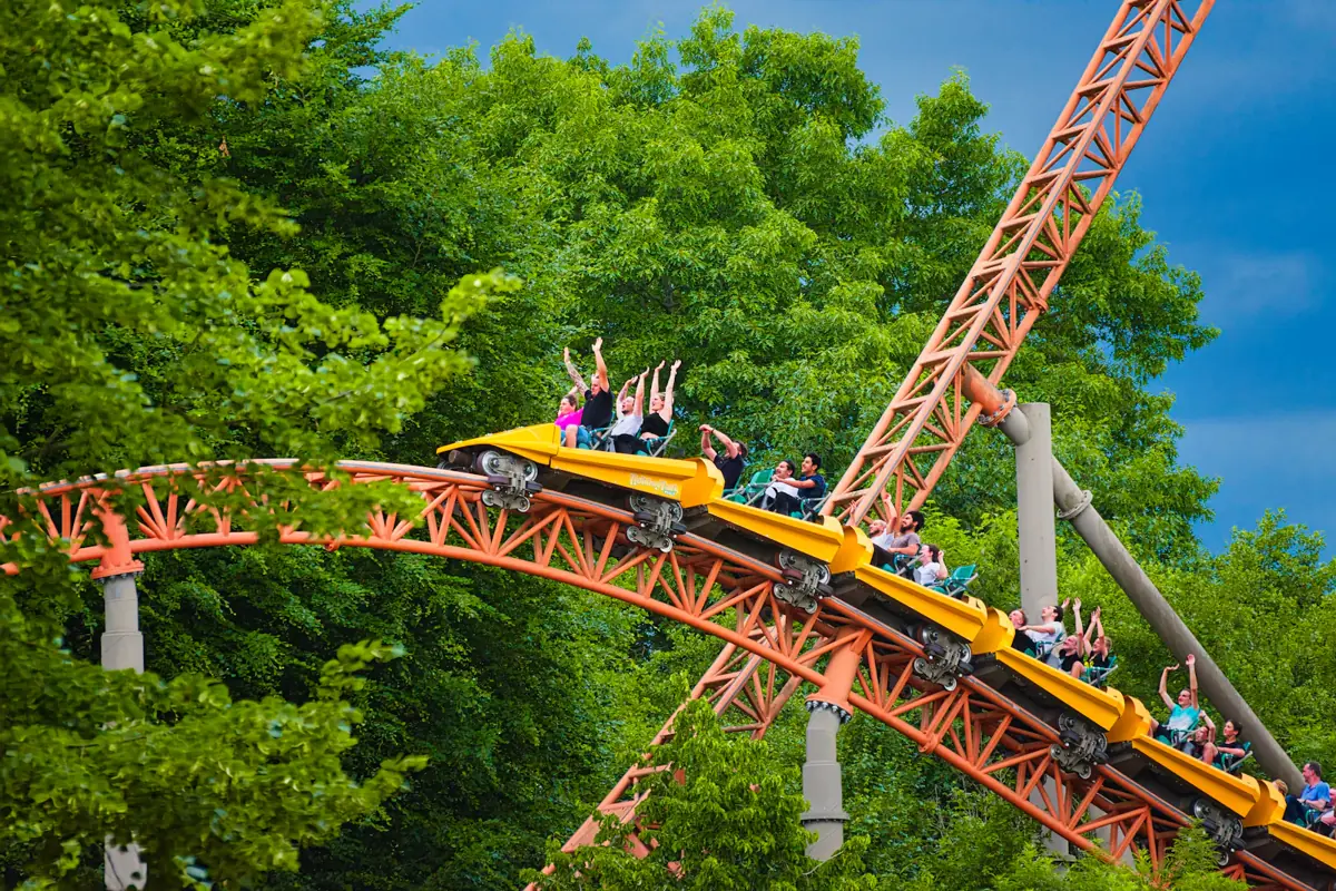 Prickly Pear Express: Family-sized speed through the treetops